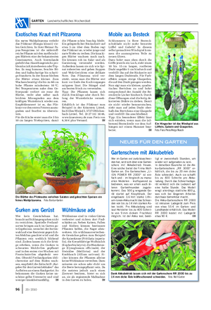 GARTEN Landwirtschaftliches Wochenblatt Wer im Garten viel zurückzuschnei- den hat, wird sich über eine Garten- schere mit Akkubetrieb freuen.