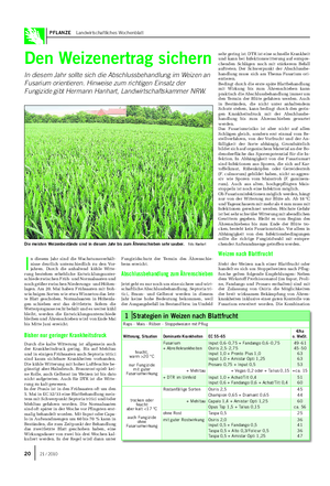 PFLANZE Landwirtschaftliches Wochenblatt Den Weizenertrag sichern In diesem Jahr sollte sich die Abschlussbehandlung im Weizen an Fusarium orientieren.