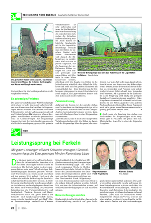 TECHNIK UND NEUE ENERGIE Landwirtschaftliches Wochenblatt Zuckerrüben für die Methanproduktion nicht empfohlen werden.
