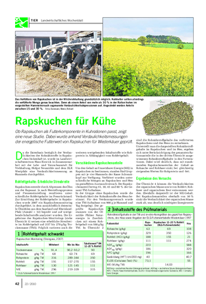 TIER Landwirtschaftliches Wochenblatt Rapskuchen für Kühe Ob Rapskuchen als Futterkomponente in Kuhrationen passt, zeigt eine neue Studie.