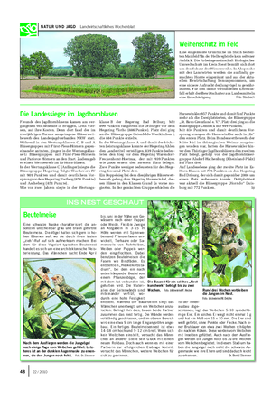 NATUR UND JAGD Landwirtschaftliches Wochenblatt Freunde des Jagdhornblasens kamen am ver- gangenen Wochenende in Brüggen, Kreis Vier- sen, auf ihre Kosten.