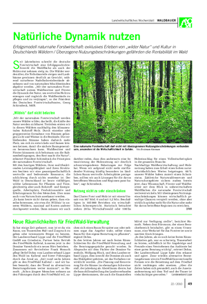 Landwirtschaftliches Wochenblatt WALDBAUER Holzeinschlag für einen Vollzeitarbeitsplatz in der gesamten Branche.