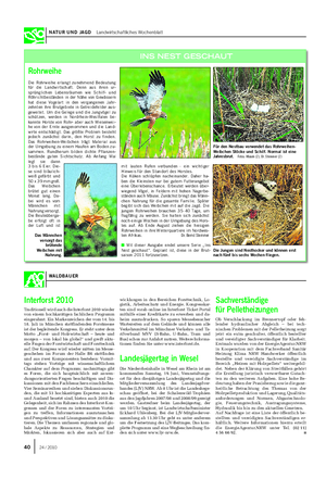 NATUR UND JAGD Landwirtschaftliches Wochenblatt Rohrweihe Die Rohrweihe erlangt zunehmend Bedeutung für die Landwirtschaft.