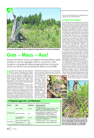 WALDBAUER Landwirtschaftliches Wochenblatt H äufig sind es Mäuse, die auf vergrasten Kyrill- und Kulturflächen für Probleme durch Rinden- und Wurzelfraß sorgen.