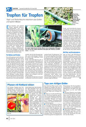 GARTEN Landwirtschaftliches Wochenblatt E ine bequeme und zugleich Wasser sparende Bewässe- rungsmethode sind Tropf- und Perlschläuche.