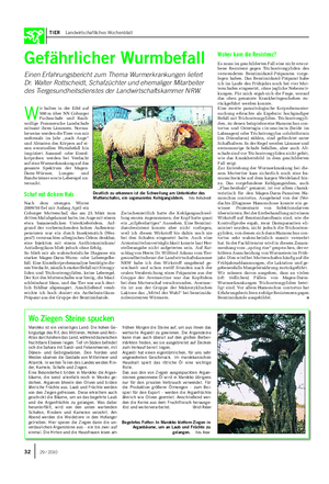 TIER Landwirtschaftliches Wochenblatt Gefährlicher Wurmbefall Einen Erfahrungsbericht zum Thema Wurmerkrankungen liefert Dr.
