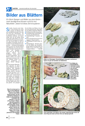 GARTEN Landwirtschaftliches Wochenblatt Bilder aus Blättern Ein Stück Styropor und Blätter aus dem Garten – mehr benötigt Anne Bussen nicht für ihre Naturbilder.