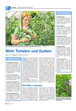 GARTEN Landwirtschaftliches Wochenblatt Mehr Tomaten und Gurken Das ist im August im Garten zu tun.