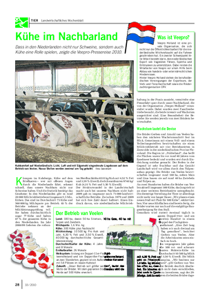 TIER Landwirtschaftliches Wochenblatt K lompen im Kuhdesign, Kühe auf dem Briefkasten – wer mit offenen Augen durch die Niederlande fährt, erkennt schnell, dass unsere Nachbarn nicht nur Schweine halten.
