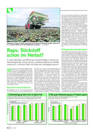 HERBSTBESTELLUNG Landwirtschaftliches Wochenblatt W interraps soll im Herbst kräftige Pflan- zen mit einer voll ausgebildeten Roset- te bilden.