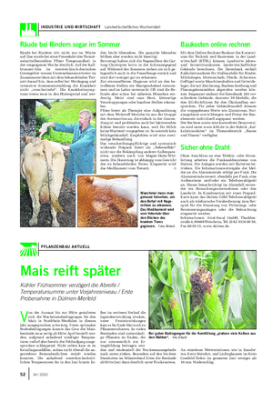 INDUSTRIE UND WIRTSCHAFT Landwirtschaftliches Wochenblatt V on der Aussaat bis zur Blüte gestalteten sich die Wachstumsbedingungen für den Mais in Nordrhein-Westfalen in diesem Jahr ausgesprochen schwierig.