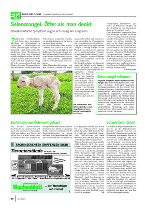 RUND UMS SCHAF Landwirtschaftliches Wochenblatt Ein Schaf im Regierungsbezirk Gie- ßen ist an der Traberkrankheit (Scrapie) verendet.