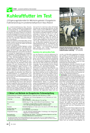 TIER Landwirtschaftliches Wochenblatt I m Landwirtschaftszentrum Haus Riswick, Kleve, wurden innerhalb der Energetischen Futterwertprüfung 13 Ergänzungsfuttermit- tel für Milchkühe von zehn Mischfutterherstel- lern geprüft.