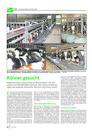 TIER Landwirtschaftliches Wochenblatt E iner, der sich in der Kälbermast auskennt, ist Michael Beneke aus Vechta-Holtrup.