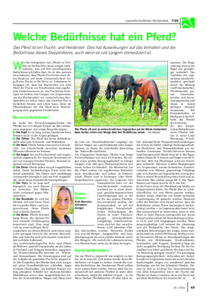 Landwirtschaftliches Wochenblatt TIER Welche Bedürfnisse hat ein Pferd?
