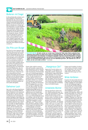 AUF EINEN BLICK Landwirtschaftliches Wochenblatt BILD DER WOCHE: Oh Gott, oh Gott, wo ist denn unser Feldweg hin?