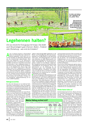 TIER Landwirtschaftliches Wochenblatt A uch in diesem Sommer in Deutschland haben die Eierhändler über schlechte Ei- erpreise gejammert.