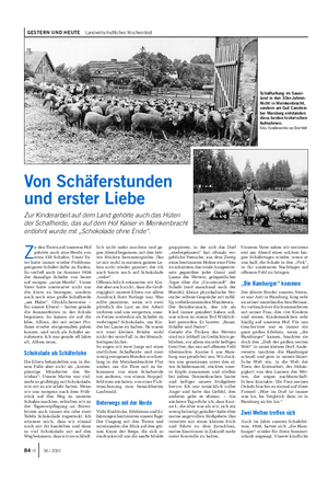 GESTERN UND HEUTE Landwirtschaftliches Wochenblatt Z u den Tieren auf unserem Hof gehörte auch eine Herde von etwa 150 Schafen.