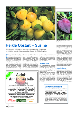 GARTEN Landwirtschaftliches Wochenblatt D ie Japanische Pflaume (Pru- nus salicina), im Handel meist als Susine bezeichnet, hat auffallend große, attraktiv aus- sehende Früchte in vielen Farben und Formen.