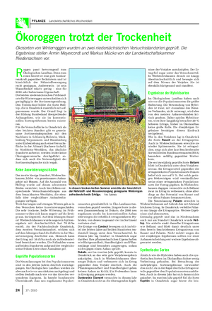PFLANZE Landwirtschaftliches Wochenblatt R oggen passt hervorragend zum Ökologischen Landbau.