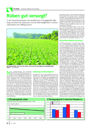 PFLANZE Landwirtschaftliches Wochenblatt Rüben gut versorgt?