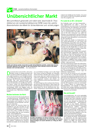 TIER Landwirtschaftliches Wochenblatt Unübersichtlicher Markt Wie Lammfleisch gehandelt und notiert wird, beschreibt Dr.