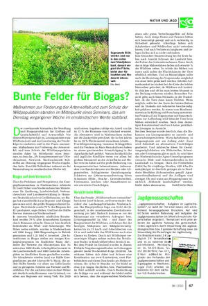 D er zunehmende Maisanbau für Veredlung und Biogasproduktion hat Einfluss auf Landschaftsbild und Artenvielfalt.