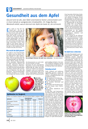 GESUNDHEIT Landwirtschaftliches Wochenblatt Gesundheit aus dem Apfel Gesund sind sie alle, aber Äpfel verschiedener Sorten unterscheiden sich in ihrem Gehalt an wertgebenden Inhaltsstoffen.