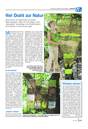 Landwirtschaftliches Wochenblatt GARTEN Viel Draht zur Natur Etwas Draht, eine Stahlmatte und einige Naturmaterialien.