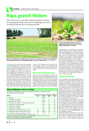 PFLANZE Landwirtschaftliches Wochenblatt Raps gezielt fördern Über Versuche zur optimalen Anbauintensität im Herbst bei spät gesätem Raps berichtet Dr.