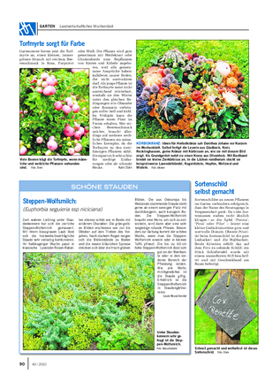 GARTEN Landwirtschaftliches Wochenblatt KÜRBISKRANZ: Ideen für Herbstkränze sah Dorothea Johann vor Kurzem im Wochenblatt.