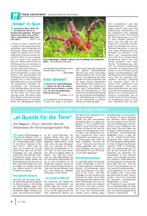 FRAGE UND ANTWORT Landwirtschaftliches Wochenblatt „Tentakel“ im Rasen ?