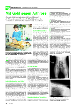 NATUR UND JAGD Landwirtschaftliches Wochenblatt Mit Gold gegen Arthrose Über die Golddrahtimplantation („Wiener Methode“) als Schmerztherapie informiert Dr.