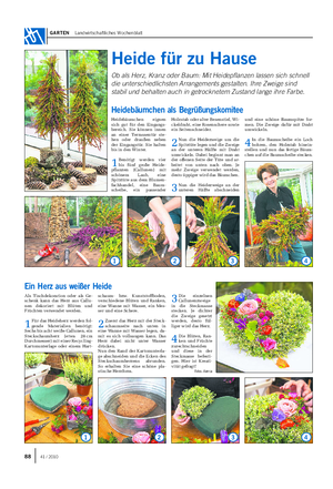 GARTEN Landwirtschaftliches Wochenblatt Heide für zu Hause Ob als Herz, Kranz oder Baum: Mit Heidepflanzen lassen sich schnell die unterschiedlichsten Arrangements gestalten.