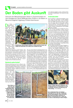 PFLANZE Landwirtschaftliches Wochenblatt Der Boden gibt Auskunft Exkursion der Wasserkooperation Höxter in Zusammenarbeit mit dem Geologischen Dienst NRW gibt tiefen Einblick in die Böden im Wasserschutzgebiet Vogelsang in Brakel-Auenhausen.