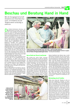 Landwirtschaftliches Wochenblatt TIER Beschau und Beratung Hand in Hand Wie die Erzeugergemeinschaft Osnabrück die Fleischbeschau nutzt, um Probleme bei der Tiergesundheit rechtzeitig zu erkennen.