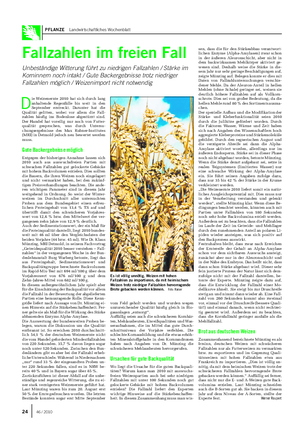 PFLANZE Landwirtschaftliches Wochenblatt D ie Weizenernte 2010 hat sich durch lang anhaltende Regenfälle bis weit in den September erstreckt.