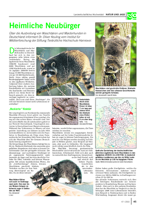 Landwirtschaftliches Wochenblatt NATUR UND JAGD Heimliche Neubürger Über die Ausbreitung von Waschbären und Marderhunden in Deutschland informiert Dr.