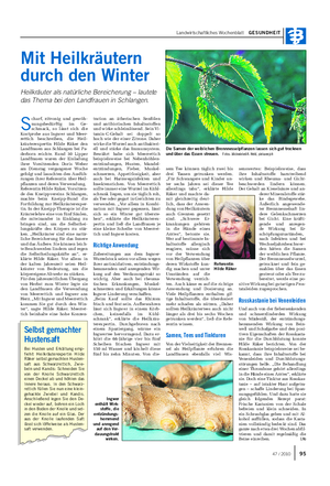 Landwirtschaftliches Wochenblatt GESUNDHEIT Mit Heilkräutern durch den Winter Heilkräuter als natürliche Bereicherung – lautete das Thema bei den Landfrauen in Schlangen.