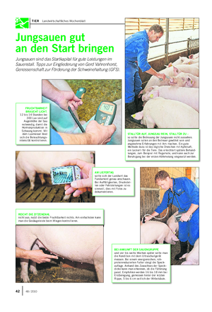 TIER Landwirtschaftliches Wochenblatt Jungsauen gut an den Start bringen Jungsauen sind das Startkapital für gute Leistungen im Sauenstall.