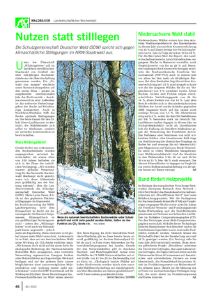 WALDBAUER Landwirtschaftliches Wochenblatt Nutzen statt stilllegen Die Schutzgemeinschaft Deutscher Wald (SDW) spricht sich gegen klimaschädliche Stilllegungen im NRW-Staatswald aus.