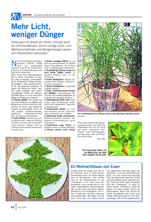 GARTEN Landwirtschaftliches Wochenblatt Mehr Licht, weniger Dünger Vorbeugen ist besser als Heilen: Das gilt auch bei Zimmerpflanzen.