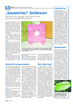 FAMILIE Landwirtschaftliches Wochenblatt „Sauweiches“ Sofakissen Wer Kindern eine „kuschelige“ Freude machen möchte, kann ihnen ein Schweinchenkissen nähen.