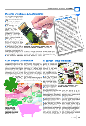 Landwirtschaftliches Wochenblatt HAUSHALT Silvester mit Freunden und Familie bei Fondue oder Raclette nett zusammensit- zen – darauf freuen sich viele Jahr für Jahr.