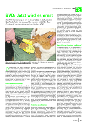 Landwirtschaftliches Wochenblatt TIER BVD: Jetzt wird es ernst Die BVDV-Verordnung ist am 1.
