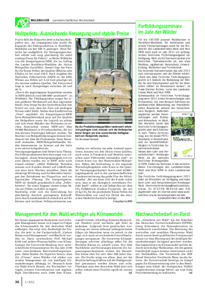 WALDBAUER Landwirtschaftliches Wochenblatt Positiv fällt die Bilanz für 2010 in Sachen Holz- pellets aus.