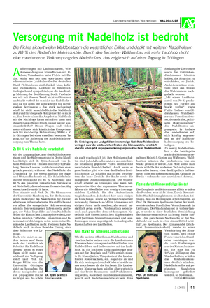 Landwirtschaftliches Wochenblatt WALDBAUER Versorgung mit Nadelholz ist bedroht Die Fichte sichert vielen Waldbesitzern die wesentlichen Erlöse und deckt mit weiteren Nadelhölzern zu 80 % den Bedarf der Holzindustrie.