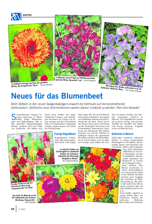 GARTEN S ommerblumen bringen fri- schen Schwung in Beete, Kübel, Tröge, Blumenam- peln und Balkonkästen.