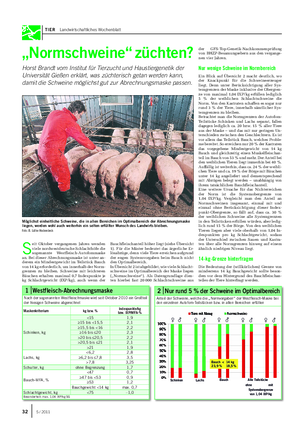 TIER Landwirtschaftliches Wochenblatt „Normschweine“ züchten?