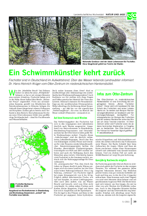 Landwirtschaftliches Wochenblatt NATUR UND JAGD W ar der „Merfelder Bruch“ bei Dülmen bisher vor allem für seine „Wildpferde“ bekannt, so hat er seit einigen Monaten eine weitere Attraktion.